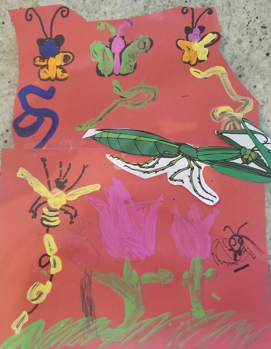 Moss_12_14's tweet photo. Butterfly picture, sorting and tallying everything Amar sees outside on sunny day! @LecandaMrs @LearningAllDay @tightendmaarlhi https://t.co/wbgaMSAIfw