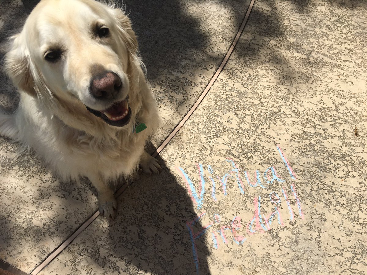 CindyRuzicka's tweet photo. Baloo is also all clear!😊no talking in line with this student!😂😂#exleytweets https://t.co/Wd9RoXRP1j