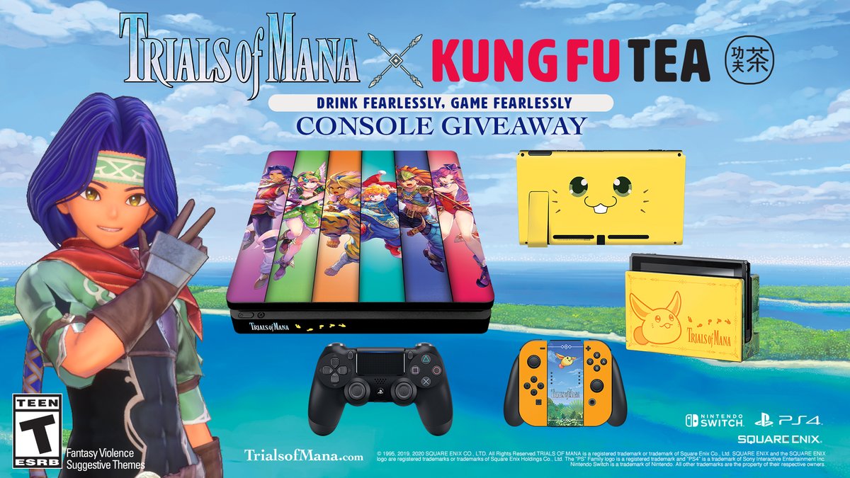 kung fu nintendo switch