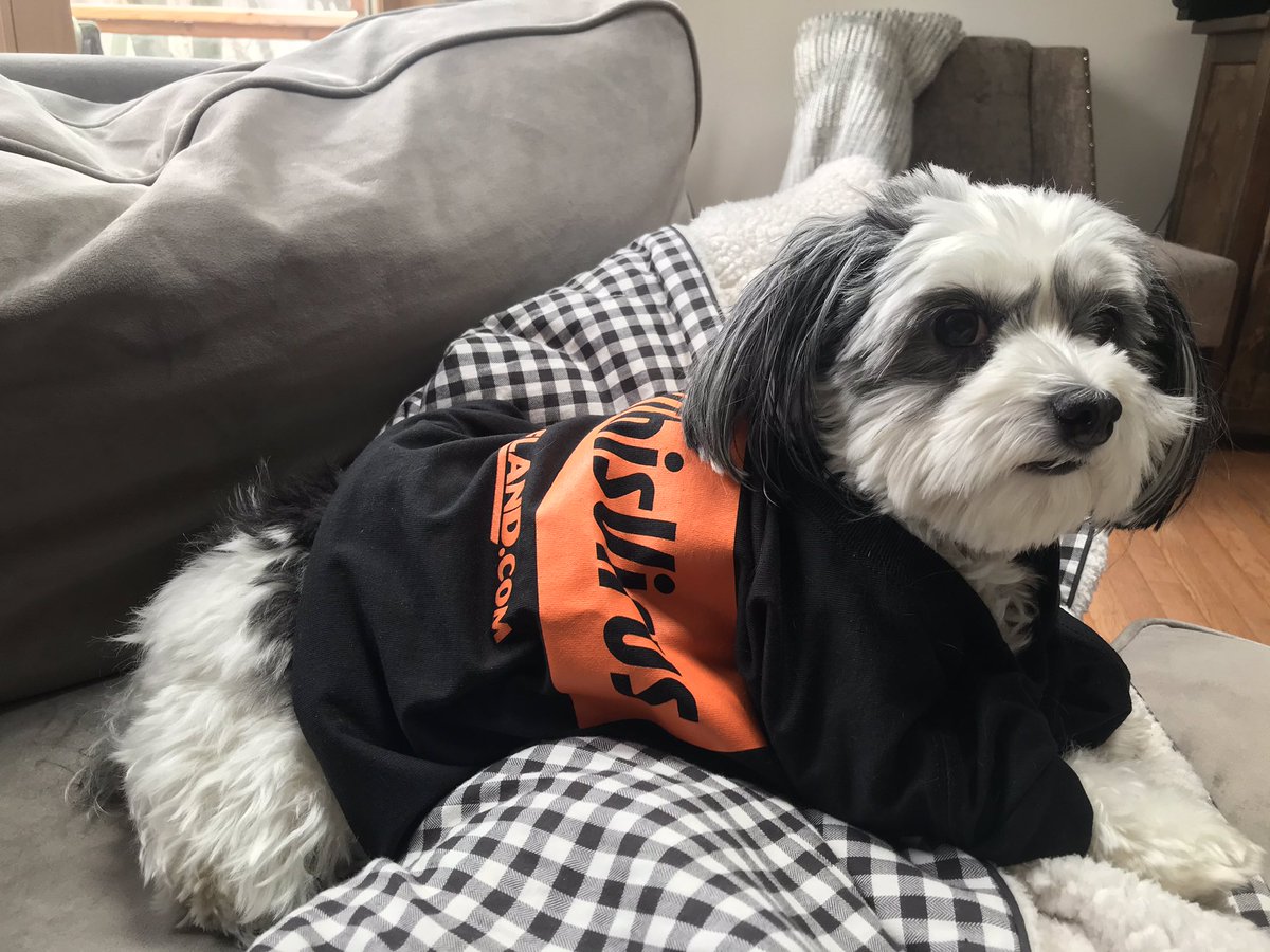 MariaSicaRoth's tweet photo. Everyone, including Snuggles  wants to  #ShankThisVirus 
We can do this! https://t.co/z8i4JC94kD