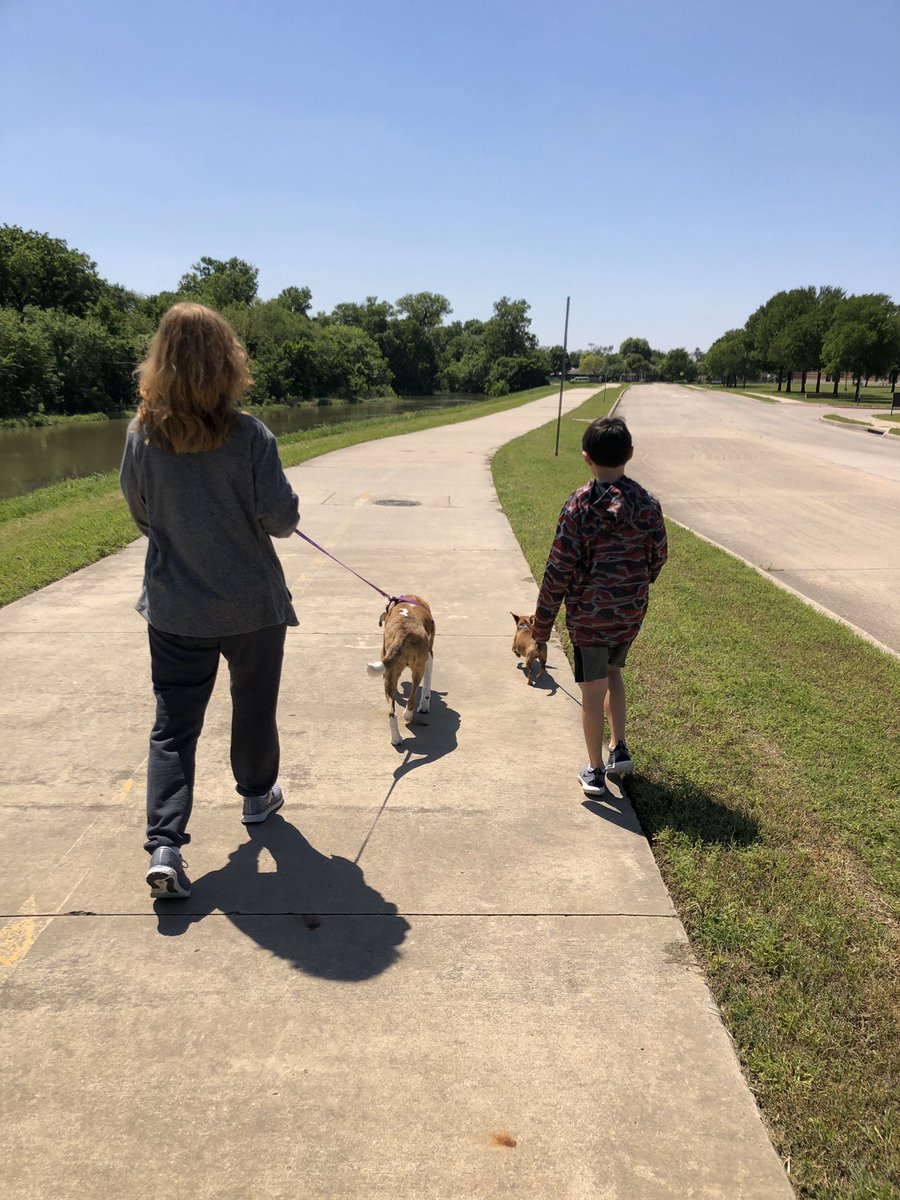 GravesSci's tweet photo. @CMSNorth Spirit Day! Workout Wednesday walking the pups! #villagenorth #CMSNConnected #CISDTogetherAtHome https://t.co/FYnYMNXf8E