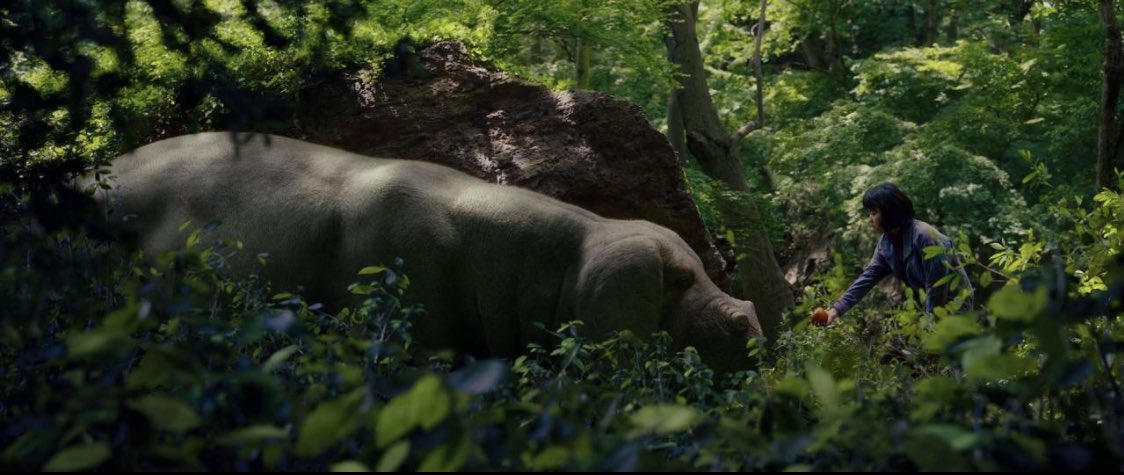 OKJA (dir. Bong Joon-ho). Never thought a film about a girl befriending a super pig would get me in the feels. I Relate to the super pig on lots of levels. I preferred this to snowpiercer. Tilda Swinton has funny teeth.