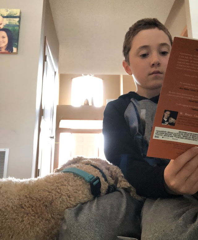 PrincipalArthur's tweet photo. Look at all this reading to pets! Great work, @MiddletonElem! #MESVirtualWeek #MustangVirtualWeek https://t.co/TYizBnUWFG