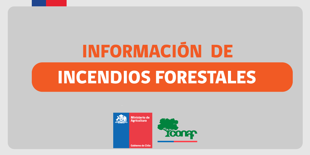 CONAF - Corporación Nacional Forestal tweet media