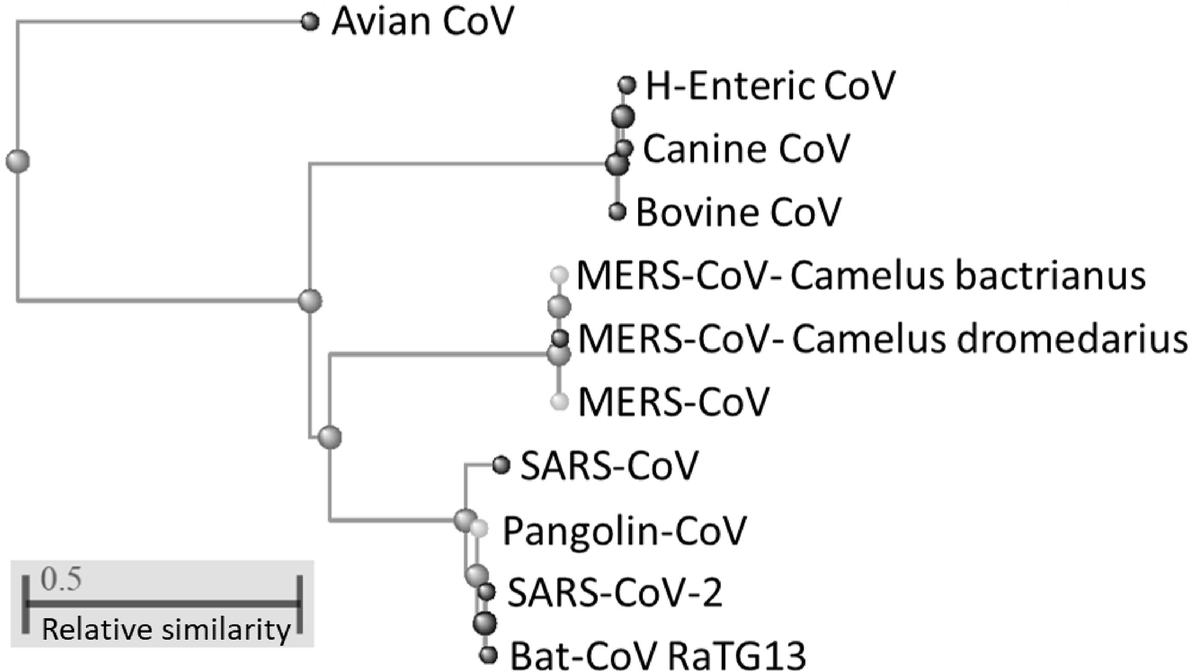 MicrobesInfect's tweet photo. Comparative computational analysis of #SARSCoV2 nucleocapsid protein epitopes in taxonomically related coronaviruses.

Major nucleocapsid protein epitopes &amp; homologs of taxonomically-related #coronavirus with tropism for animal species &amp; humans.

https://t.co/EBfvuUwc9m https://t.co/reb7OrZYuC