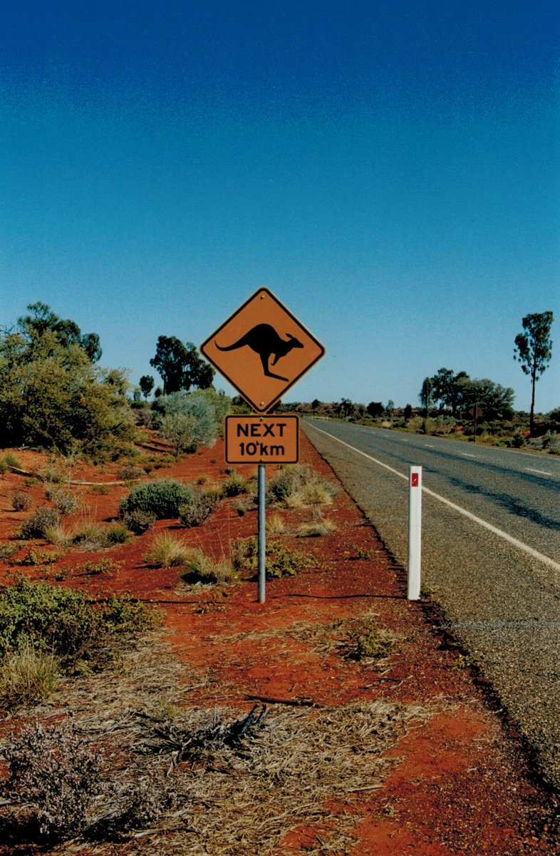 diana48987573's tweet image. Non abbiamo messo in pausa i sogni , stiamo lavorando per farli tornare realtà .
#ilturismosostienelitalia  #ImmaginandoUnViaggio 
@Fiorello
@agenziediviaggi 
@SkyTG24 
@GiuseppeConteIT 
@GiorgiaMeloni 
@giamma71 
@tg2rai 
@reportrai3 
@MediasetTgcom24