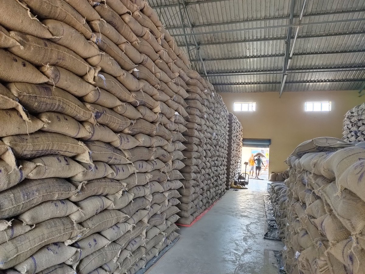 SarojSw80410717's tweet photo. @oscsceu . Lifting of Rice under Pradhan Mantri Garib Kalyan Yojana (PMGKAY scheme ), Special package for #COVID19 ,is going on in Puri District on war footing basis.
#No Holidays#No leave#
#PI_FOR_PDS 
#OdishaFightsCorona https://t.co/3ntoLxxuoR