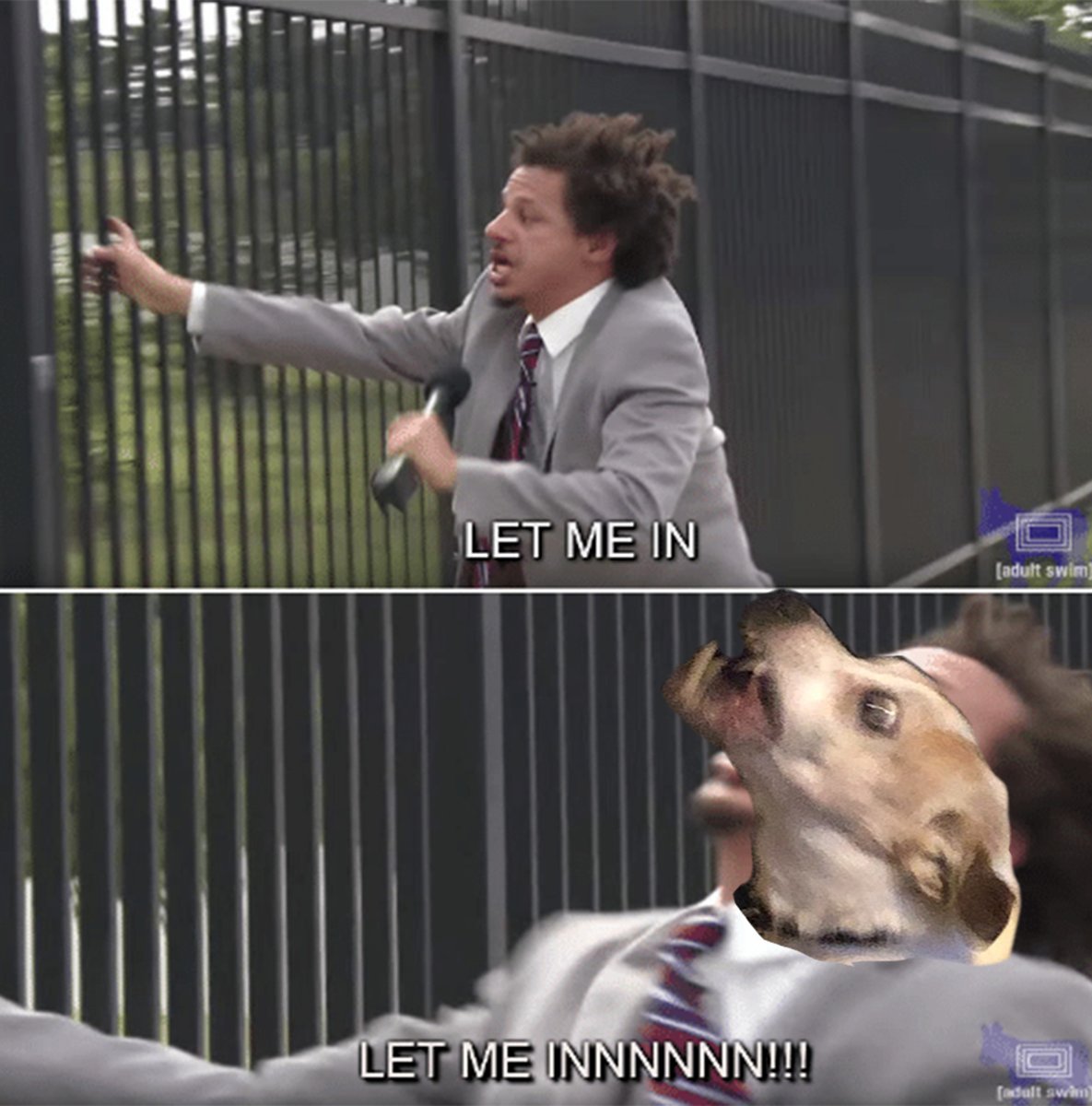 MalloryKoning's tweet photo. My dog when he realized there was snow on the ground this morning https://t.co/eVsSVMFCL3