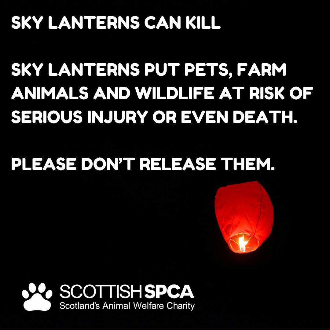 🐾‼️ The Scottish SPCA supports the #NHS and recognises the incredible effort they are making. We have so much respect for them. 

However, we're asking people to celebrate the #NHS without putting animals and the environment at risk.

Please don’t release sky lanterns.