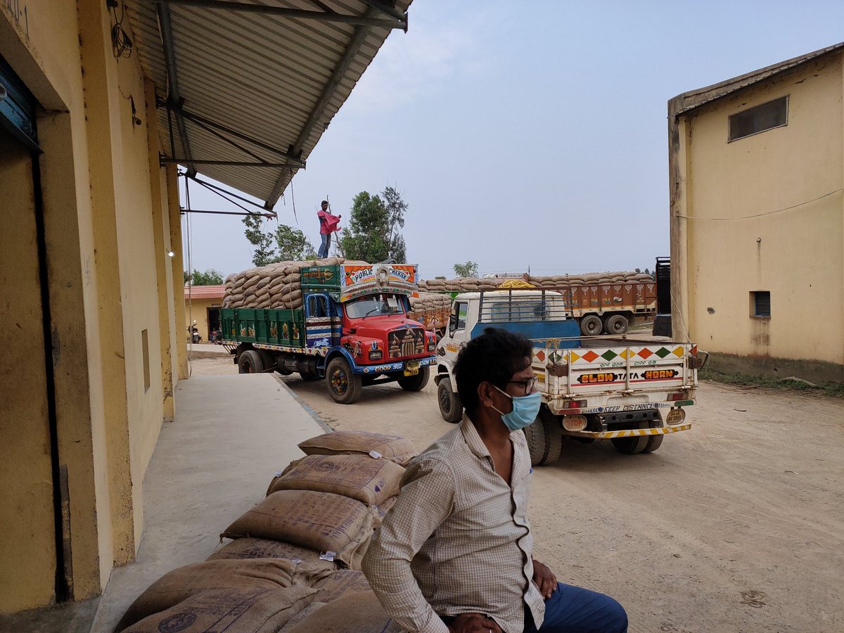 SarojSw80410717's tweet photo. @oscsceu . Lifting of Rice under Pradhan Mantri Garib Kalyan Yojana (PMGKAY scheme ), Special package for #COVID19 ,is going on in Puri District on war footing basis.
#No Holidays#No leave#
#PI_FOR_PDS 
#OdishaFightsCorona https://t.co/3ntoLxxuoR