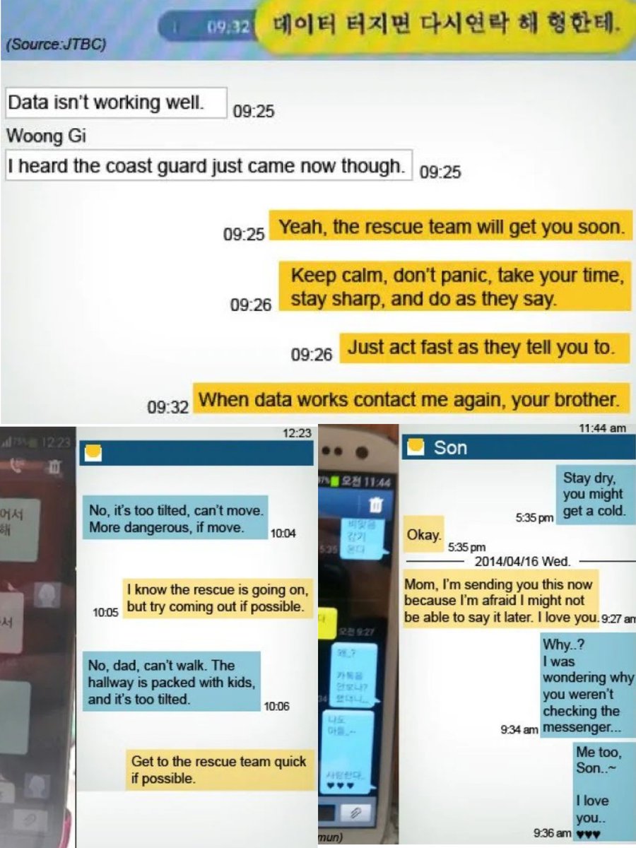 ʕ•ᴥ•ʔ tweet media