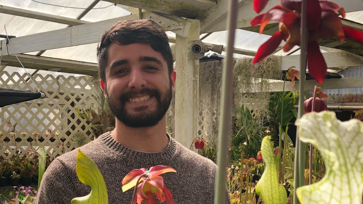 PlantBreedingCenter tweet media