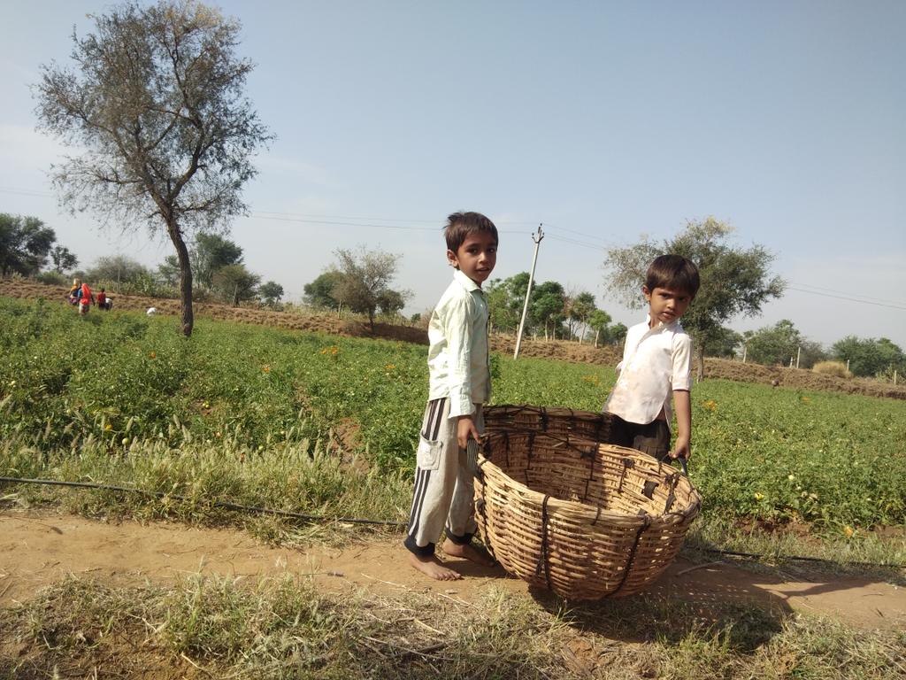 PRAHLADMANOTA's tweet photo. जब कोई किसान या जवान मरता है।
तो समझना पूरा हिन्दुस्तान मरता है।।
#SaveFarmers 
#SaveFarmers 
#SaveFarmers https://t.co/t2RHAZffVT