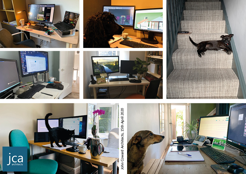 jca_ltd's tweet image. The end of another productive day across our remote office with the JCA team and their 'helpers' ploughing through the workload. #remoteworking #teamwork #officedog #officecat