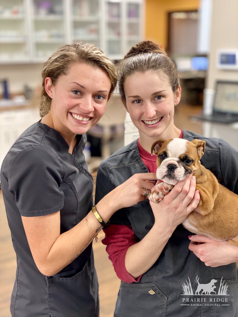 Prairie Ridge Animal Hospital (@PrairieRidgeAH) / Twitter Prairie Ridge Animal Hospital (@PrairieRidgeAH) / Twitter