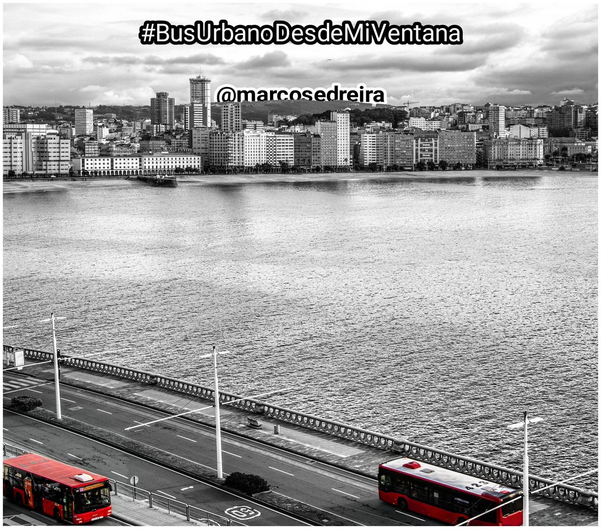BlogBusurbano's tweet image. Y paralelamente a las capturas anteriores de @JCorunes, aparece @marcosedreira y, mágicamente, nos los reúne en esta bella vista contrastada de #Coruña, con la altiva #TorreHercón al fondo.
🚍
#Bus391 #Lín11, #Bus423 #Lín3
🚌
#BusUrbanoDesdeMiVentana artístico en #BlancoYnegro :)