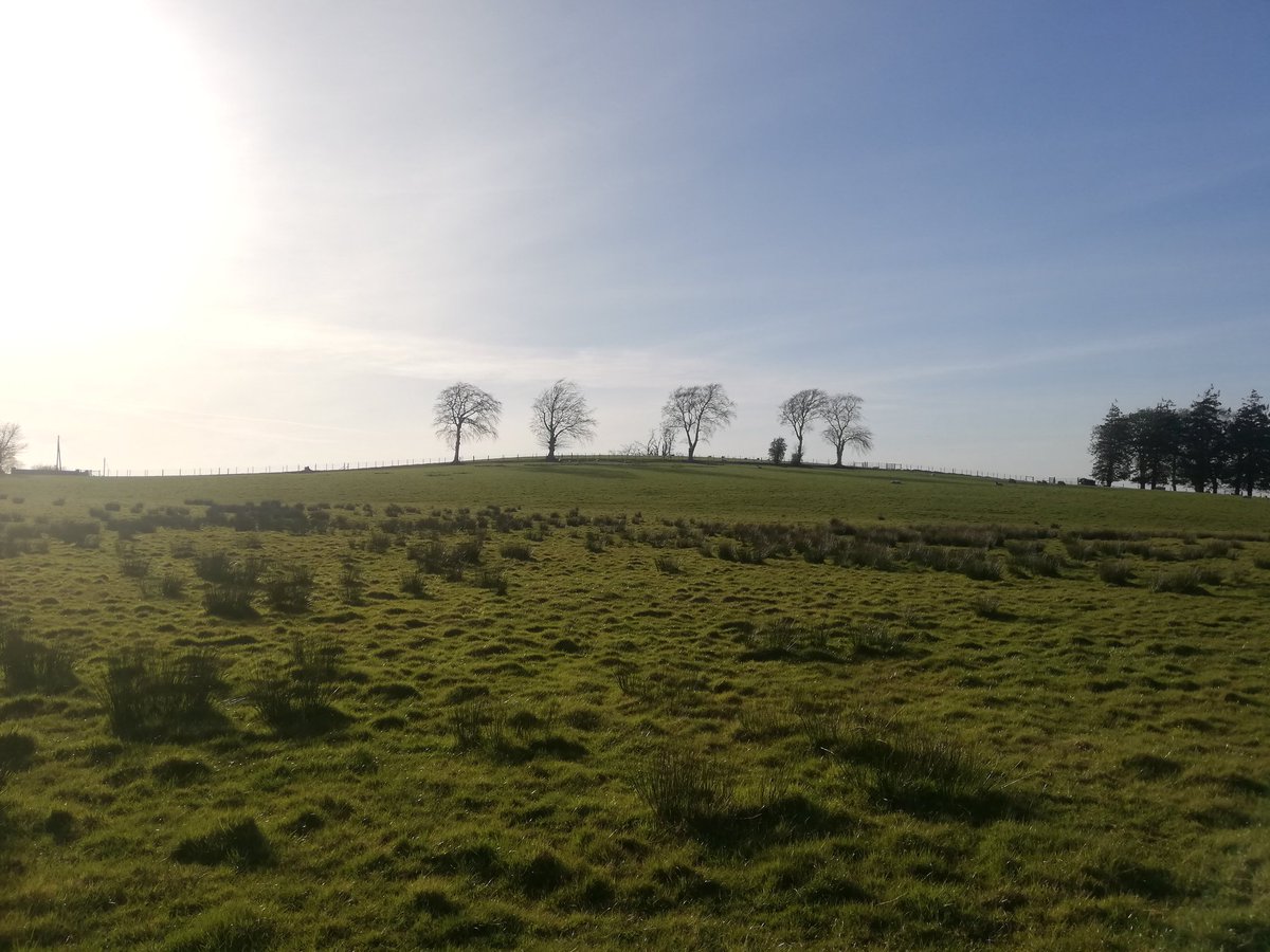 Stephen Carson (@stephencarson09) on Twitter photo Lá 4/7 de mo shaolsa trí mheán na bpictiúr. An t-aon riail: Ná baintear úsáid as focail. Ainmnítear duine nua gach lá. D’ainmnigh <a href="/ErvineLinda/">Linda Ervine MBE</a> mise. Inniu, tá mise ag ainmniú <a href="/paulmccague/">Paul McCague</a> Lá 4/7 de mo shaolsa trí mheán na bpictiúr. An t-aon riail: Ná baintear úsáid as focail. Ainmnítear duine nua gach lá. D’ainmnigh <a href="/ErvineLinda/">Linda Ervine MBE</a> mise. Inniu, tá mise ag ainmniú <a href="/paulmccague/">Paul McCague</a>