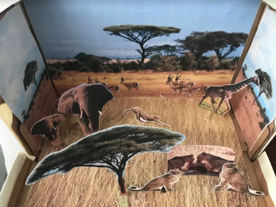 MsSokolowskiIn5's tweet photo. Students finished their Animal Research Projects and dioramas! Tomorrow they will share what they learned about their animals, virtually! These show the habitats of a chimpanzee, a stink bug, a scorpion, and a cheetah! @LongfieldsTAG https://t.co/XaH66de2uu