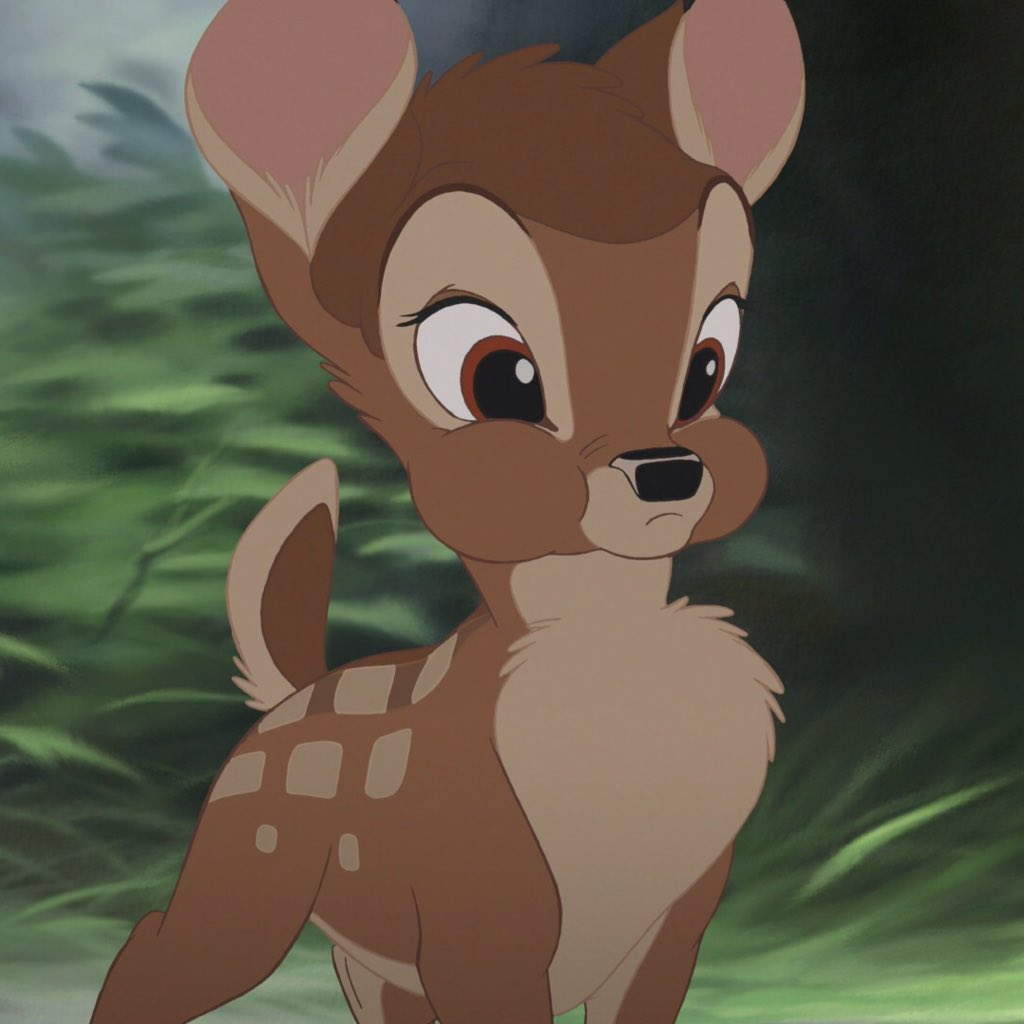 Jungkook and hoseok as thumper and bambi — a thread