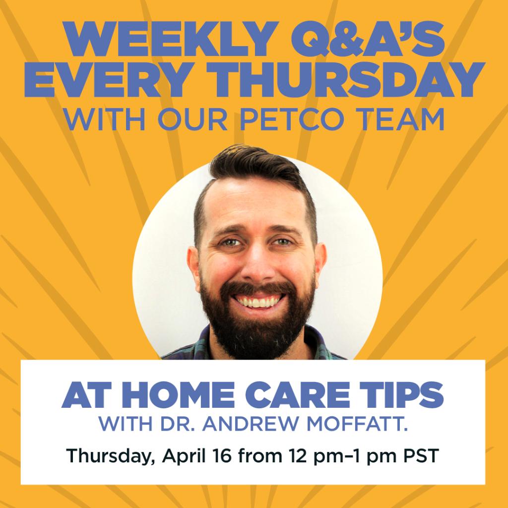 Petco on Twitter "Tomorrow, from 12 p.m. 100 p.m. PST, join us on