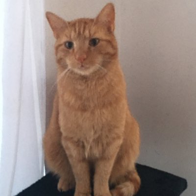 RossiBBC's tweet image. #NouvellePhotoDeProfil