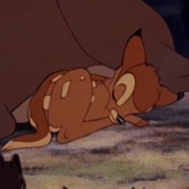 Jungkook and hoseok as thumper and bambi — a thread