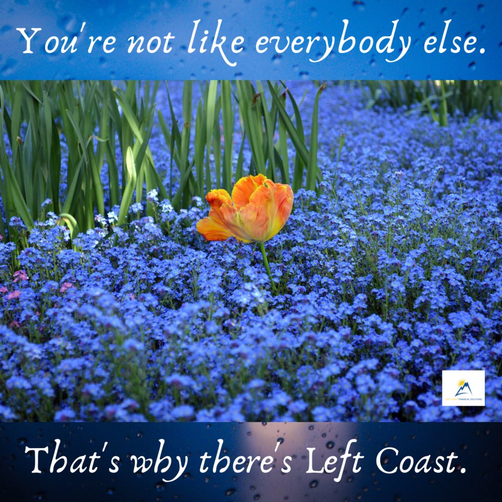 Banking solutions for your unique business needs. Left Coast is here to help your business with free account opening, free online access, free cash pick up, and electronic payment options! #free #FinancialFreedom #leftcoast #banking #cannabisbanking #banklocal #PNW #SmallBusiness