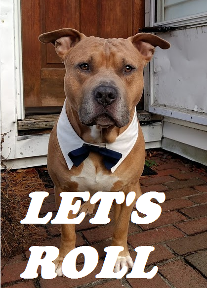 In case you missed it! conta.cc/3cwz30L