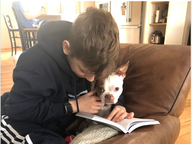 PrincipalArthur's tweet photo. Here are some more pictures of Read to Your Pet Day! Keep sending them @MiddletonElem! #MESVirtualWeek #MustangVirtualWeek https://t.co/PzQRS7R4O4