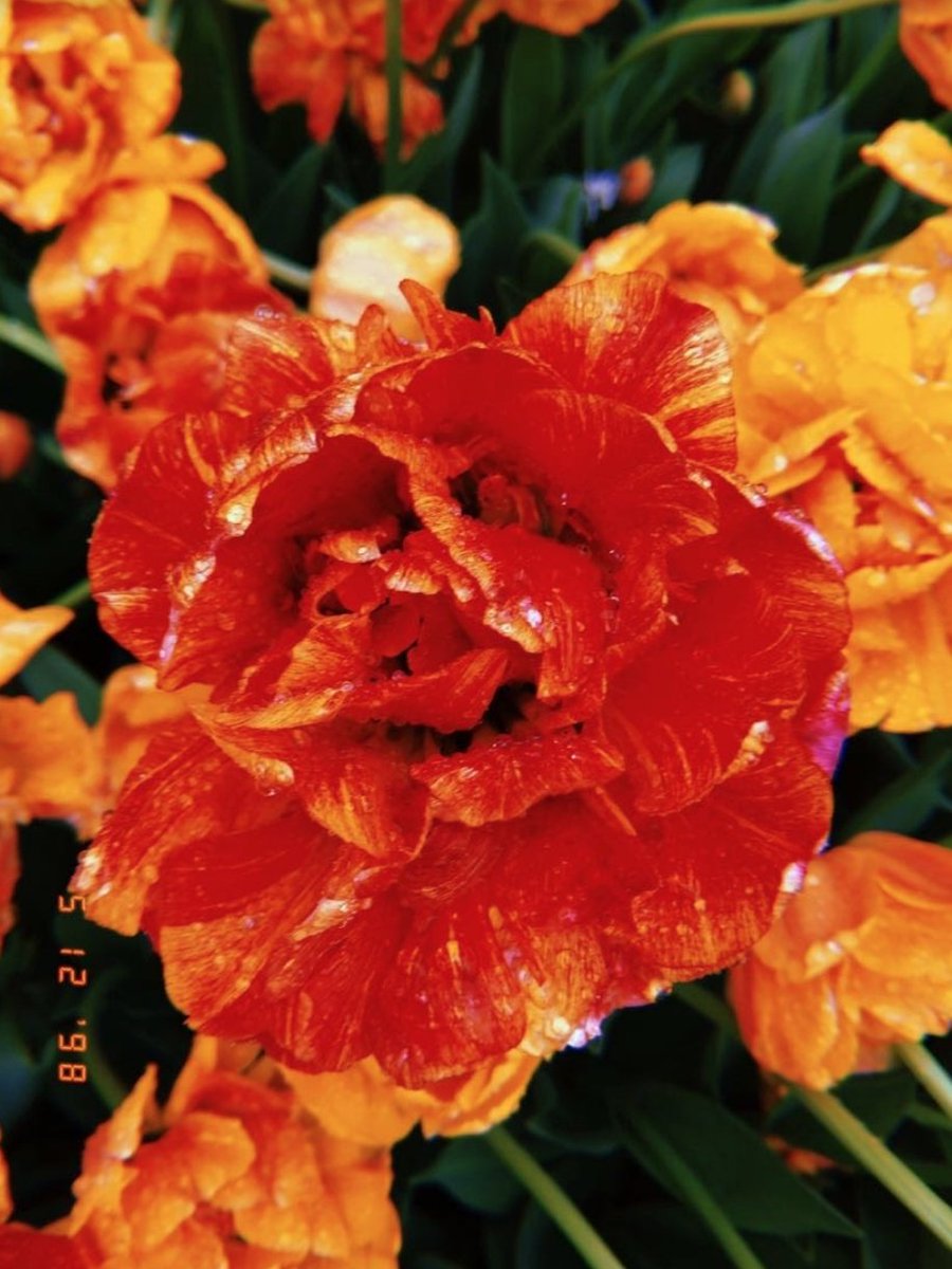 Photography students have been getting outside and shooting nature! Their photo submissions are making my day!