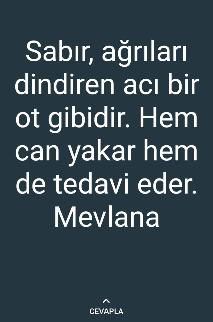 Aşkın Öntürk (@ktphaneci16) on Twitter photo 