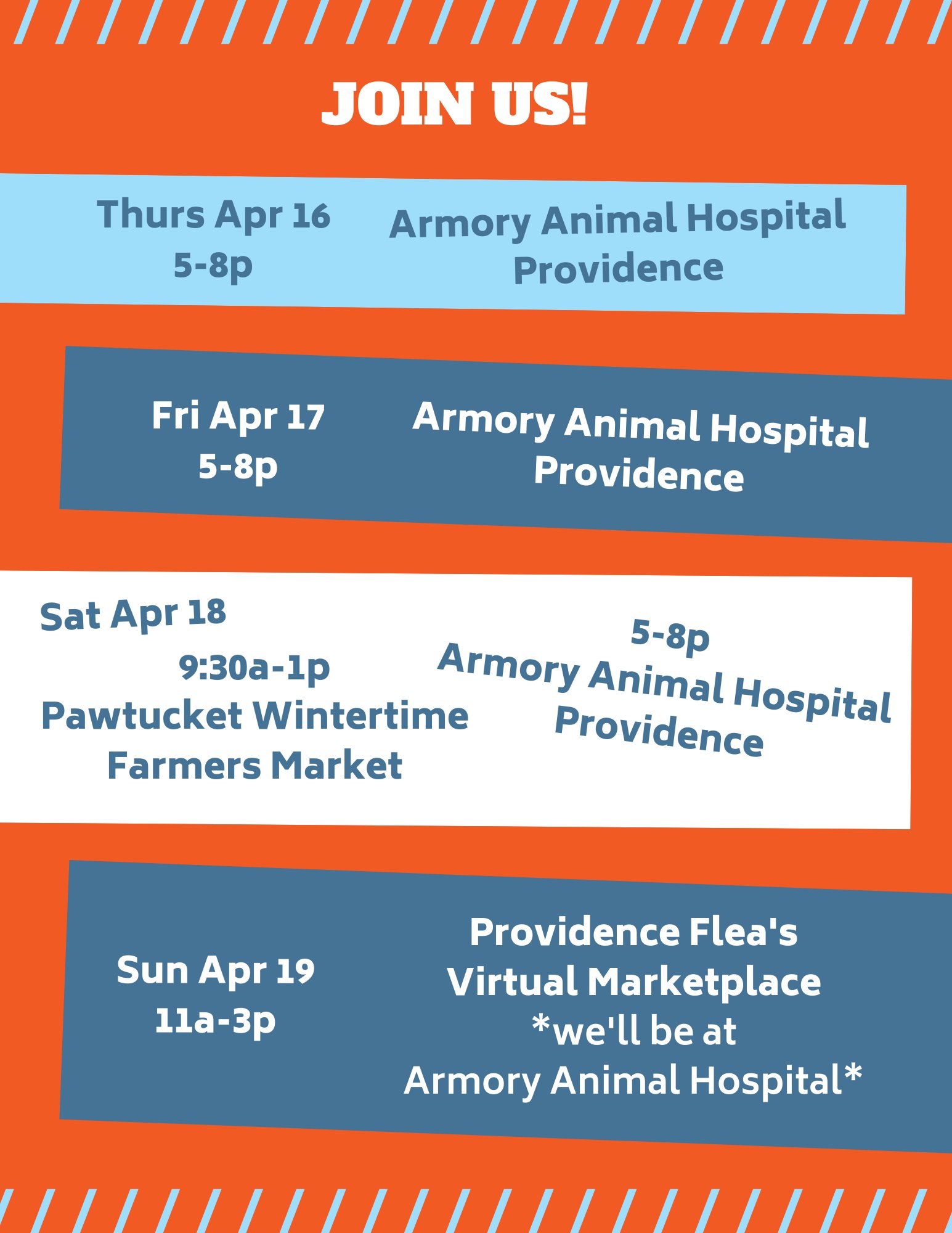 armory animal hospital