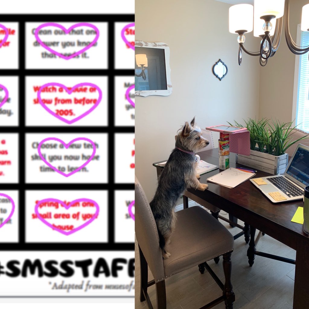 Shout out to <a href="/PisanoSMS/">Alyssa Pisano</a> for teaching me how to record videos on our fancy can structure, make the videos pretty on iMovie, and then upload them to my very own YouTube account! I feel so fancy. 💁‍♀️ #smsstaffbingo #proudtobeD93