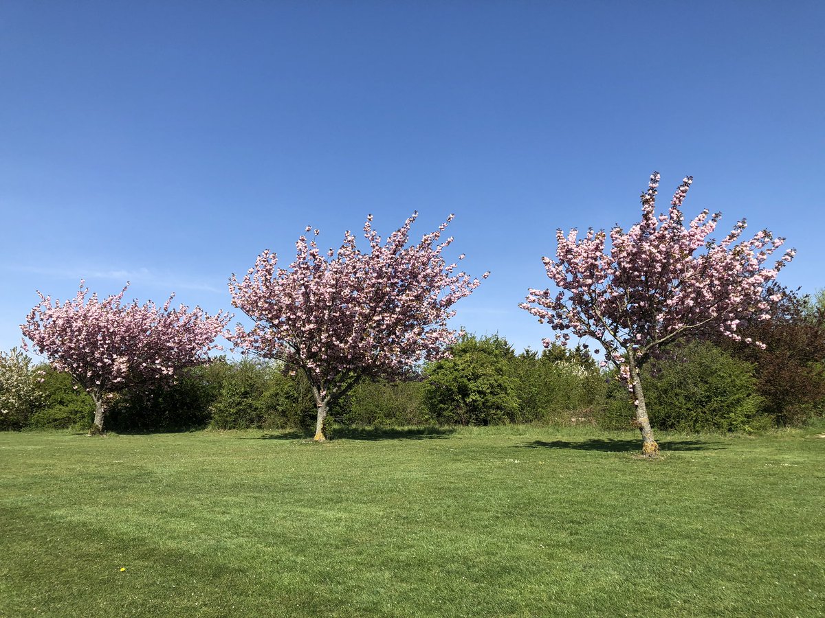 MidKentGolfClubPro tweet media