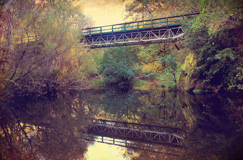 ampomata's tweet photo. "Couldn't Be Who You Wanted". Check out this alluring photo by @LaurieSearch here: https://t.co/bePyY6T5pP #art #photo #contemporaryart #ArtistOnTwitter #nature #outdoors #landscape #samuelptaylor #statepark #lagunitas #california #parks https://t.co/9rehPI4gf7