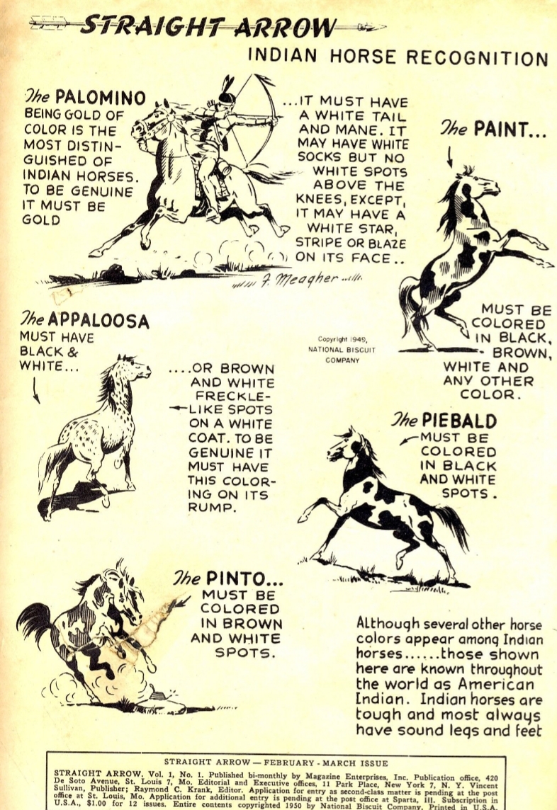 Scout is a lovely horse - but what kind of horse? Is he a paint, a piebald, a pinto, or something else? Breyer, the toy company, says he is a Paint. The Lone Ranger Wiki says he is both a pinto and a paint.