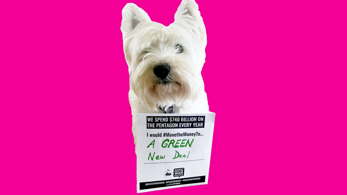 Rather than tackling the  #ClimateCrisis, the US wastes $740 billion a year on the Pentagon. The more money we spend on weapons & war, the more our planet & ALL living things suffer. We need to  #DivestFromWar &  #MovetheMoneyTo a  #GreenNewDeal!  #WarIsNotGreen  #PupsForPeace