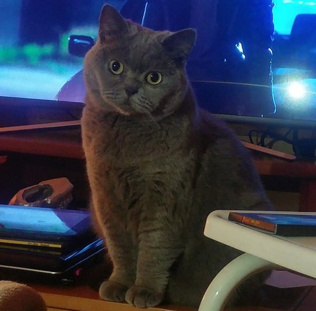 #miercolesdeNUBEs de archivo...
A ver quién le dice que no...