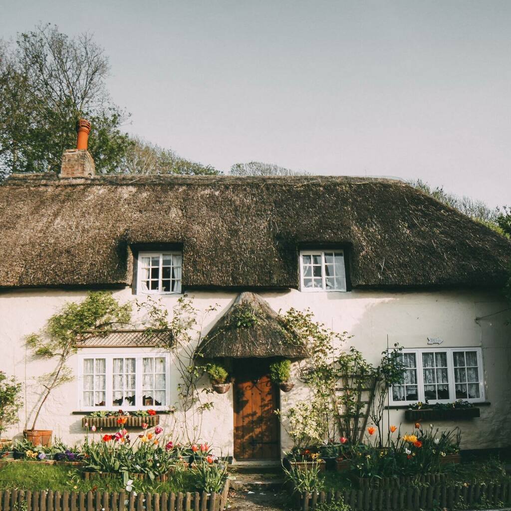 Oh to live in a thatch cottage on a sunny day.🌱🌱🌱 #cottagecore #livethelittlethings#everydaymagic#flowersandotherstories#petalsandprops#thisjaneaustenlife#myslowandsimple#cherishandrelish