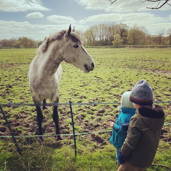 We hope everyone is enjoying the weather &amp; managing some daily exercise 🚶‍♂️ It's a great time to explore what's on your doorstep &amp; maybe meet some new friends alone the way 🐎 😊 #sunshine #exercise #publicfootpath #horse #newfriends