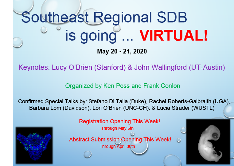 SoutheastSDB's tweet photo. So excited to announce: Southeast SDB is going VIRTUAL! Abstract Submission Now Open! {FREE} Registration Now Open! https://t.co/35nLJo3nP1 https://t.co/UREU9jOQAC