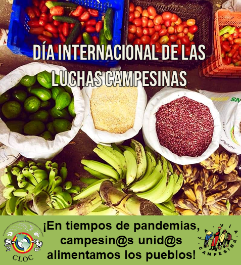 CLOC_LVC's tweet photo. ¡Siembra local, compra local, come local! Comprometámonos a consumir alimentos de las cooperativas y las comunidades agrícolas locales, ir a los Mercados Campesinos, comprar directamente a los productores y promover los valores humanistas. #QuédateEnCasaNoEnSilencio https://t.co/QXtl3bwSsX