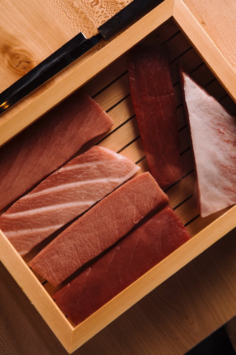 SUSHI-SAN tweet media