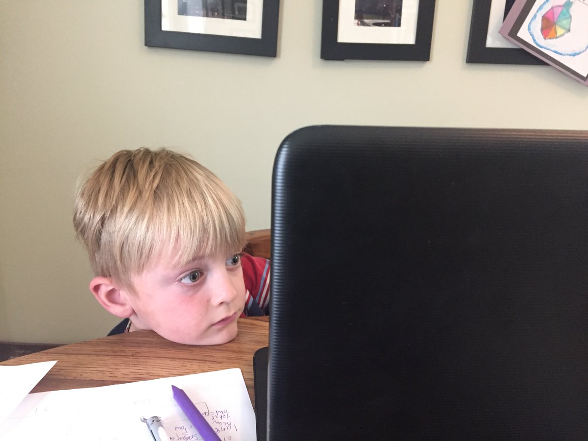 Cool Facts About Animals tweet media