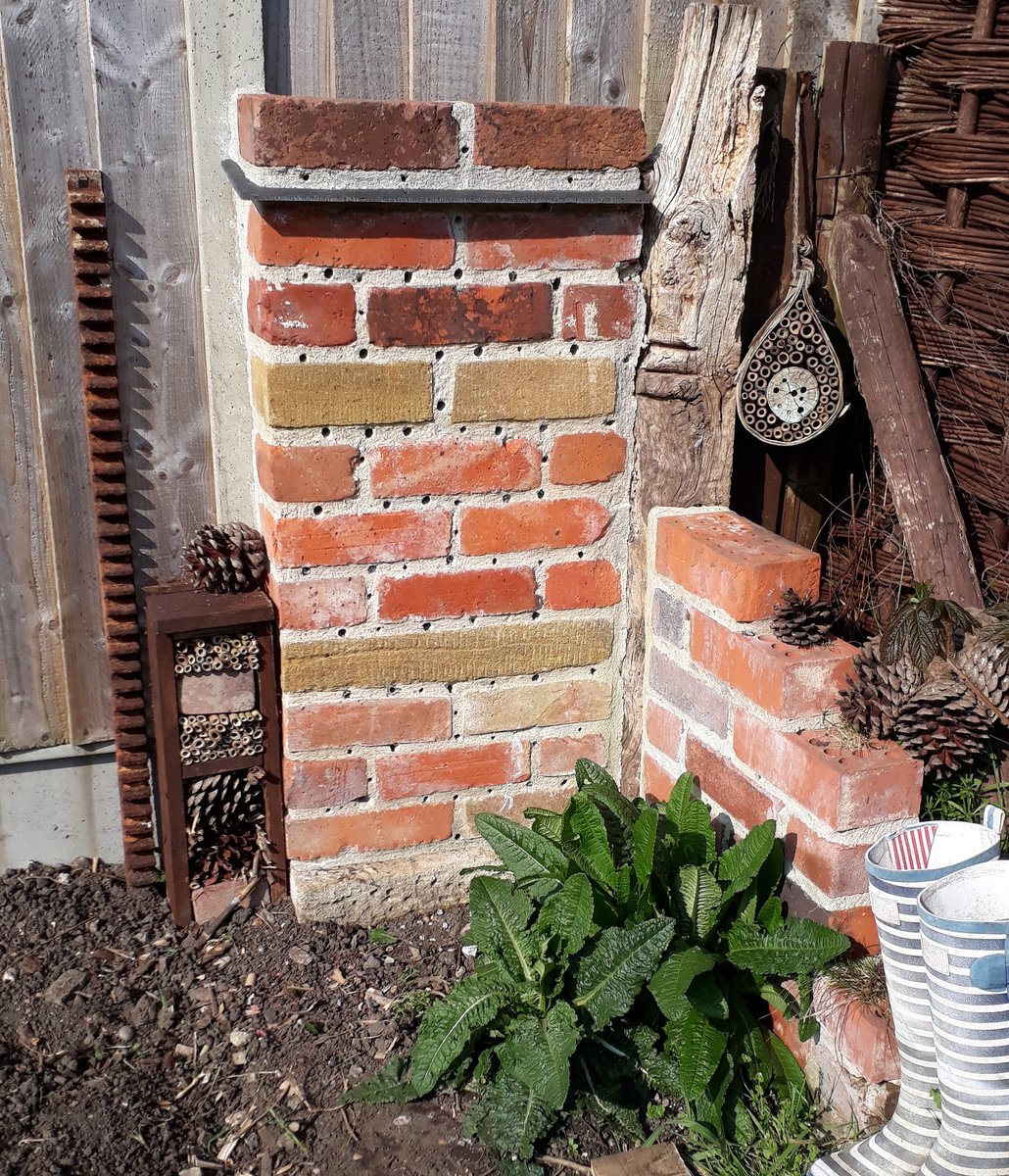 wildhomesuk tweet media