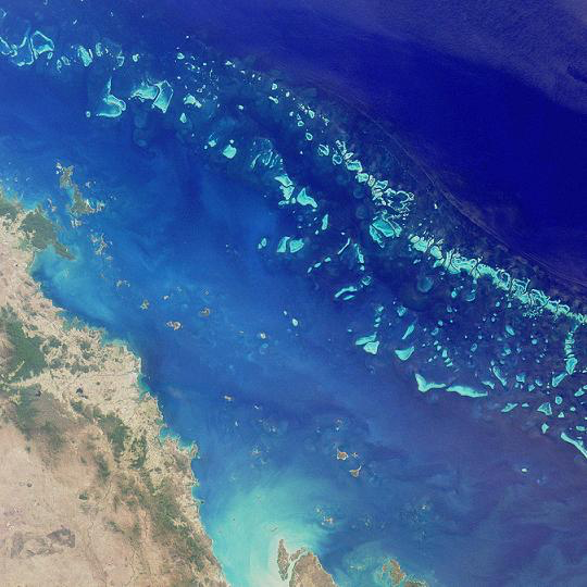 owlkids's tweet photo. Why is the coral in Australia's Great Barrier Reef turning white? 🤯Find out about a new major environmental threat to the largest reef system in the world below: https://t.co/bNfe2dZmS0
#OWLconnected https://t.co/UsRrdU6leA