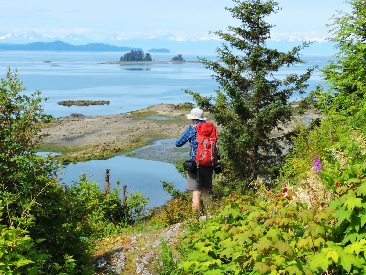 AKDreamCruises's tweet photo. Alaska is home to hundreds of hiking trails for every ability level, allowing everyone to explore the Last Frontier. We love to take our guests to see Alaska’s beauty along these trails. Did you have a favorite hike with us? #TrueAlaska https://t.co/1Pmbtoycg7