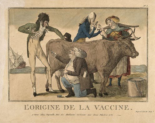 (5/11) Jenner noticed that dairymaids who contracted cowpox never developed smallpox. Working from this, he developed a vaccine from cowpox. Indeed, the word “vaccination,” coined by Jenner in 1796, is derived from the Latin root vaccinus, meaning "of or from the cow.”