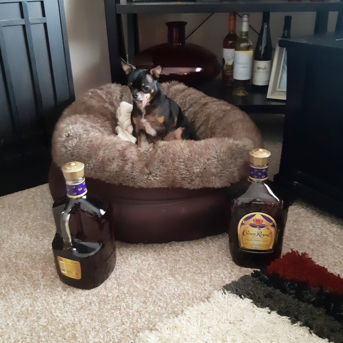 JayRivait's tweet photo. When she starts buying Crown Royal with handles AND in pairs I know stuff is getting real... Real good that is! @CrownRoyal https://t.co/cKlIHWEhrA
