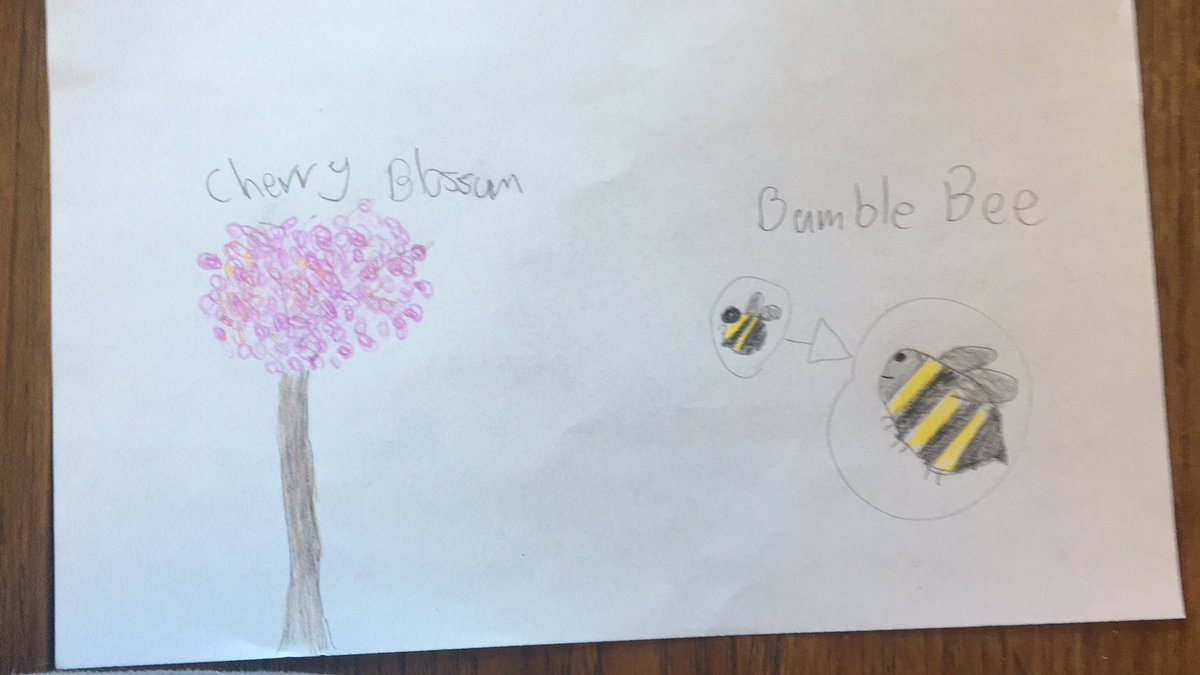feistyredbc's tweet photo. @LiveItearth #liveitwildfire Ainsley age 11 https://t.co/qJcjpjuJHB